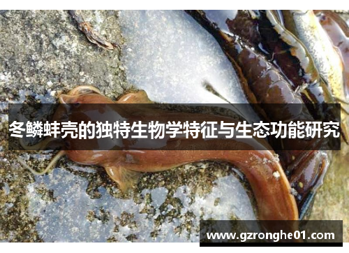 冬鳞蚌壳的独特生物学特征与生态功能研究